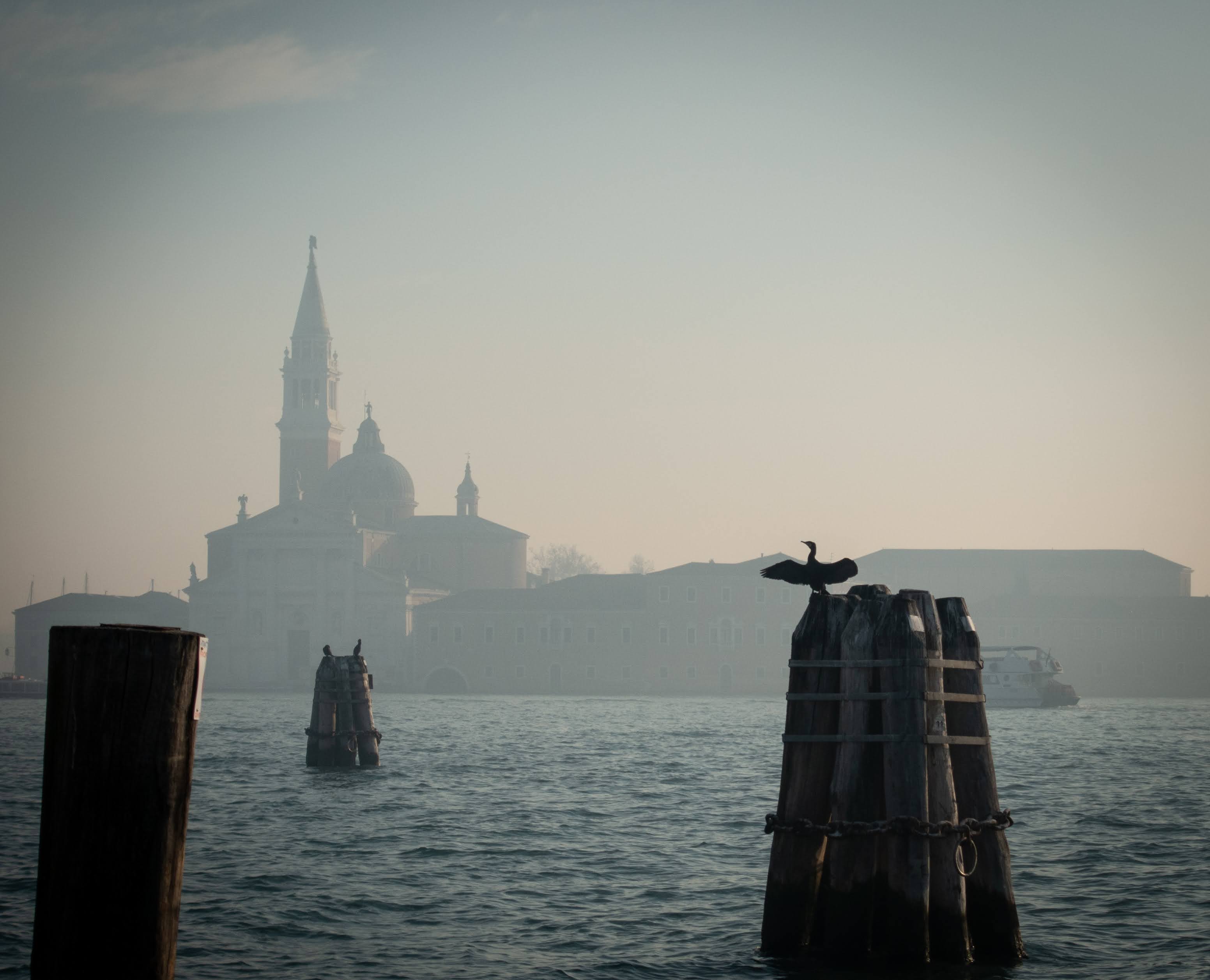 What’s coming at Venice Noir
